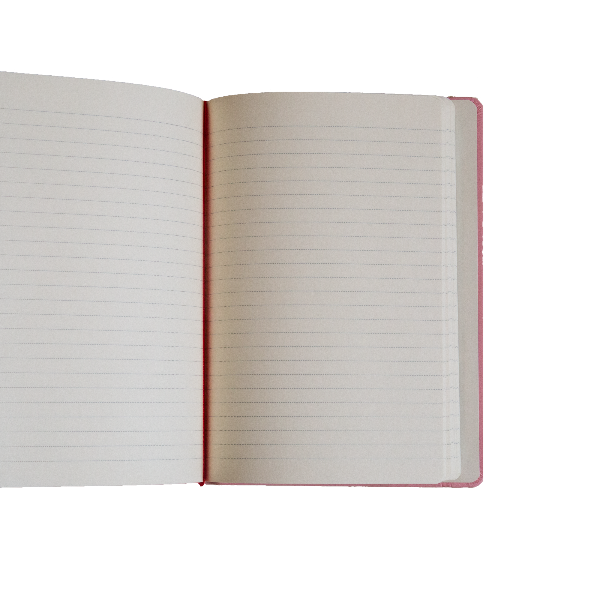 هوت قيرل سمر NOTEBOOK